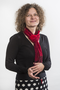Elke Teich