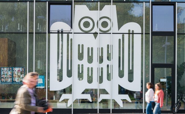 B3: Robin Lemke receives Wilhelm von Humboldt Award!