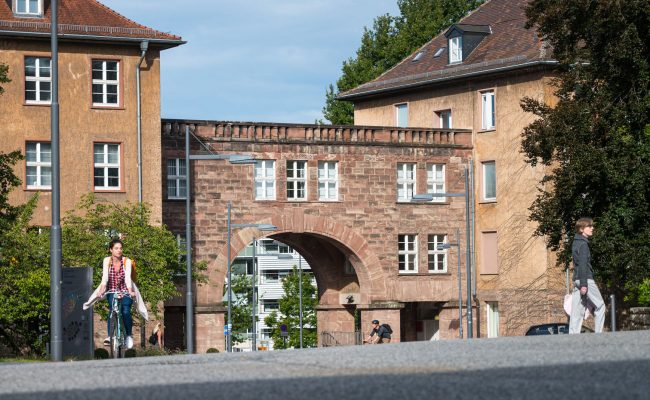 We are hiring: Post-doctoral and doctoral positions available!