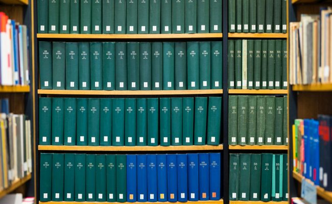 New paper by project A1 in Frontiers in Psychology